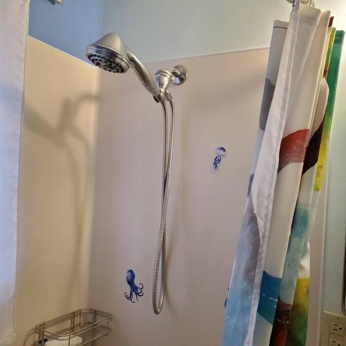 Sweet 2 Bedroom Close To U Of Oregon & Track! Eugene Zewnętrze zdjęcie