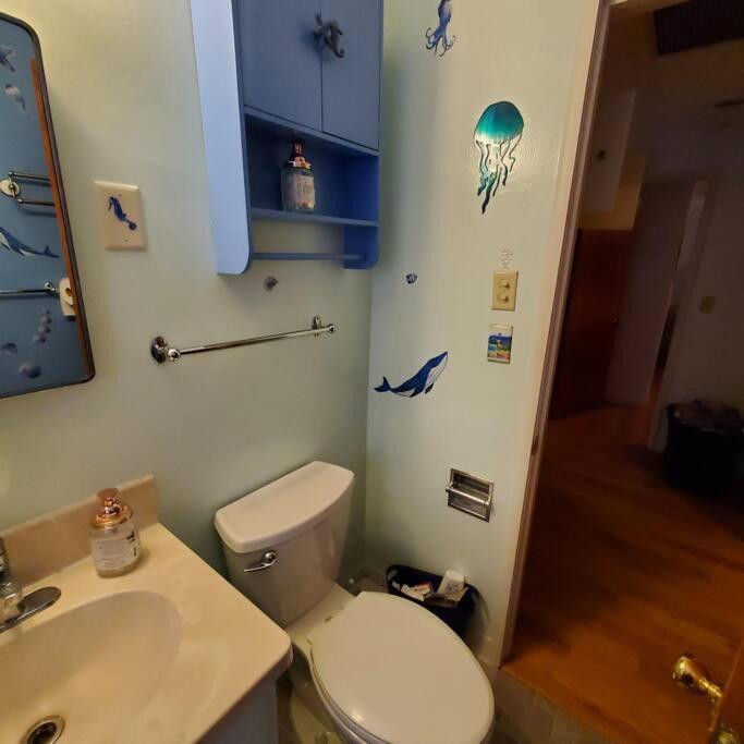 Sweet 2 Bedroom Close To U Of Oregon & Track! Eugene Zewnętrze zdjęcie